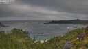 ./images/calvert/foggy-cove/20250716/foggy-cove20250716_082510M.jpg