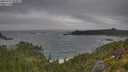 ./images/calvert/foggy-cove/20250716/foggy-cove20250716_083011M.jpg