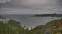 ./images/calvert/foggy-cove/20250716/foggy-cove20250716_084009M.jpg