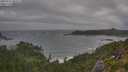 ./images/calvert/foggy-cove/20250716/foggy-cove20250716_085008M.jpg