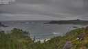 ./images/calvert/foggy-cove/20250716/foggy-cove20250716_090011M.jpg