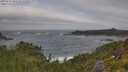 ./images/calvert/foggy-cove/20250716/foggy-cove20250716_093510M.jpg