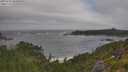 ./images/calvert/foggy-cove/20250716/foggy-cove20250716_094010M.jpg