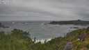./images/calvert/foggy-cove/20250716/foggy-cove20250716_095007M.jpg
