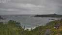 ./images/calvert/foggy-cove/20250716/foggy-cove20250716_095509M.jpg