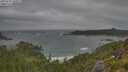 ./images/calvert/foggy-cove/20250716/foggy-cove20250716_100011M.jpg