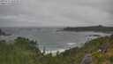 ./images/calvert/foggy-cove/20250716/foggy-cove20250716_104511M.jpg