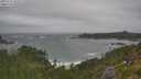./images/calvert/foggy-cove/20250716/foggy-cove20250716_105009M.jpg