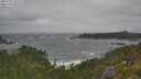 ./images/calvert/foggy-cove/20250716/foggy-cove20250716_105509M.jpg