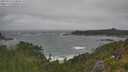 ./images/calvert/foggy-cove/20250716/foggy-cove20250716_110010M.jpg