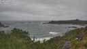 ./images/calvert/foggy-cove/20250716/foggy-cove20250716_110509M.jpg