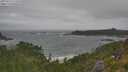 ./images/calvert/foggy-cove/20250716/foggy-cove20250716_111010M.jpg