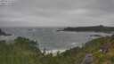 ./images/calvert/foggy-cove/20250716/foggy-cove20250716_111510M.jpg