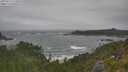 ./images/calvert/foggy-cove/20250716/foggy-cove20250716_112011M.jpg
