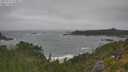 ./images/calvert/foggy-cove/20250716/foggy-cove20250716_113011M.jpg