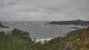 ./images/calvert/foggy-cove/20250716/foggy-cove20250716_113510M.jpg