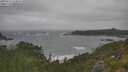 ./images/calvert/foggy-cove/20250716/foggy-cove20250716_114010M.jpg