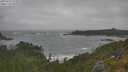 ./images/calvert/foggy-cove/20250716/foggy-cove20250716_115009M.jpg