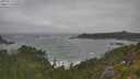 ./images/calvert/foggy-cove/20250716/foggy-cove20250716_115509M.jpg