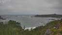 ./images/calvert/foggy-cove/20250716/foggy-cove20250716_121509M.jpg