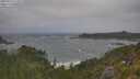 ./images/calvert/foggy-cove/20250716/foggy-cove20250716_122009M.jpg