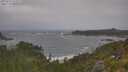 ./images/calvert/foggy-cove/20250716/foggy-cove20250716_122509M.jpg