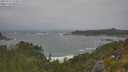 ./images/calvert/foggy-cove/20250716/foggy-cove20250716_124509M.jpg