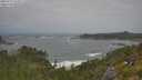 ./images/calvert/foggy-cove/20250716/foggy-cove20250716_125011M.jpg