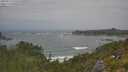 ./images/calvert/foggy-cove/20250716/foggy-cove20250716_125510M.jpg
