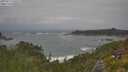 ./images/calvert/foggy-cove/20250716/foggy-cove20250716_130509M.jpg