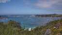 ./images/calvert/foggy-cove/20250716/foggy-cove20250716_142010M.jpg