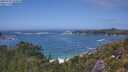 ./images/calvert/foggy-cove/20250716/foggy-cove20250716_143010M.jpg
