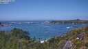 ./images/calvert/foggy-cove/20250716/foggy-cove20250716_144009M.jpg