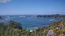 ./images/calvert/foggy-cove/20250716/foggy-cove20250716_151511M.jpg