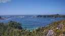 ./images/calvert/foggy-cove/20250716/foggy-cove20250716_152510M.jpg