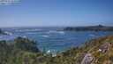 ./images/calvert/foggy-cove/20250716/foggy-cove20250716_162010M.jpg