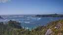 ./images/calvert/foggy-cove/20250716/foggy-cove20250716_164011M.jpg