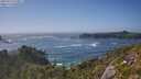 ./images/calvert/foggy-cove/20250716/foggy-cove20250716_170011M.jpg