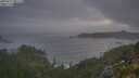 ./images/calvert/foggy-cove/20250717/foggy-cove20250717_051508M.jpg