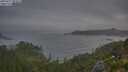 ./images/calvert/foggy-cove/20250717/foggy-cove20250717_052007M.jpg