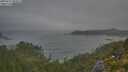 ./images/calvert/foggy-cove/20250717/foggy-cove20250717_053008M.jpg