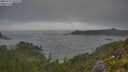 ./images/calvert/foggy-cove/20250717/foggy-cove20250717_062510M.jpg