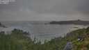 ./images/calvert/foggy-cove/20250717/foggy-cove20250717_064010M.jpg
