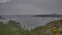 ./images/calvert/foggy-cove/20250717/foggy-cove20250717_073010M.jpg
