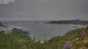./images/calvert/foggy-cove/20250717/foggy-cove20250717_081510M.jpg