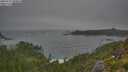 ./images/calvert/foggy-cove/20250717/foggy-cove20250717_090010M.jpg