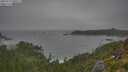 ./images/calvert/foggy-cove/20250717/foggy-cove20250717_090509M.jpg