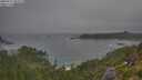 ./images/calvert/foggy-cove/20250717/foggy-cove20250717_091009M.jpg