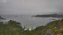./images/calvert/foggy-cove/20250717/foggy-cove20250717_095010M.jpg