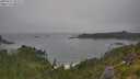 ./images/calvert/foggy-cove/20250717/foggy-cove20250717_095509M.jpg